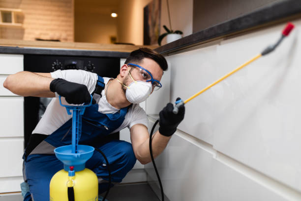 Best Pest Prevention Services  in Chicago, IL