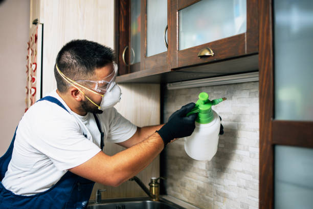 Best Cockroach Control Services  in Chicago, IL