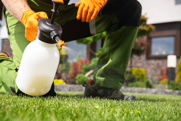 Best Residential Pest Control  in Chicago, IL