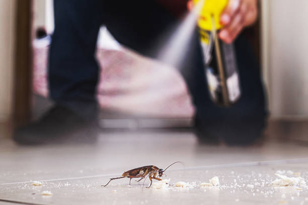 Best Pest Prevention Services  in Chicago, IL