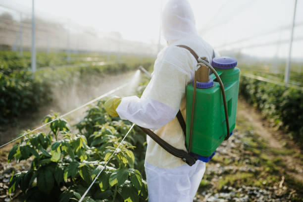 Best Affordable Pest Control Services  in Chicago, IL